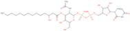Udp-3-O[R-3-hydroxymyristoyl]-N-acetylglucosamine
