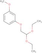 1-(2,2-Diethoxyethoxy)-3-methoxybenzene