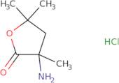 3-Amino-3,5,5-trimethyloxolan-2-one hydrochloride
