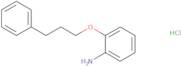 [2-(3-Phenylpropoxy)phenyl]amine hydrochloride