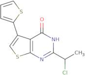 2-(1-Chloroethyl)-5-(thiophen-2-yl)-3H,4H-thieno[2,3-d]pyrimidin-4-one