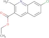 7-Chloro-2-methyl-quinoline-3-carboxylic acid ethyl ester