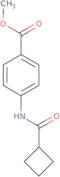 4-(Cyclobutanecarbonyl-amino)-benzoic acid methyl ester