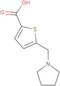 5-(Pyrrolidin-1-ylmethyl)thiophene-2-carboxylic acid