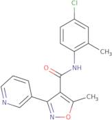 N-(4-Chloro-2-methylphenyl)-5-methyl-3-(pyridin-3-yl)-1,2-oxazole-4-carboxamide