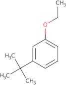1-(tert-Butyl)-3-ethoxybenzene