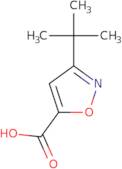 3-tert-Butyl-1,2-oxazole-5-carboxylic acid