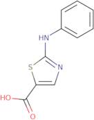 2-(Phenylamino)-1,3-thiazole-5-carboxylic acid