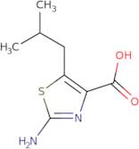 2-Amino-5-(2-methylpropyl)-1,3-thiazole-4-carboxylic acid