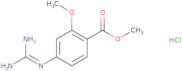 Methyl 4-guanidino-2-methoxybenzoate hydrochloride