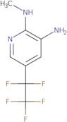 N2-Methyl-5-(pentafluoroethyl)pyridine-2,3-diamine