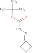 Hydrazinecarboxylic acid, cyclobutylidene-, 1,1-dimethylethyl ester