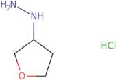 (Oxolan-3-yl)hydrazine hydrochloride