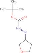 tert-Butyl 2-(dihydrofuran-3(2H)-ylidene)hydrazinecarboxylate