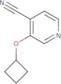 3-Cyclobutoxyisonicotinonitrile