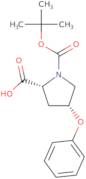 (4R)-1-Boc-4-phenoxy-D-proline ee