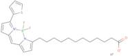 Bodipy 558/568 c12