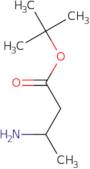 tert-Butyl (3R)-3-aminobutanoate