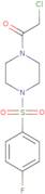 2-Chloro-1-[4-(4-fluorobenzenesulfonyl)piperazin-1-yl]ethan-1-one