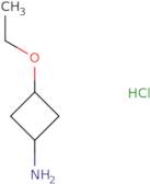 cis-3-ethoxycyclobutan-1-amine hcl