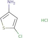 3-Amino-5-chlorothiophene hydrochloride