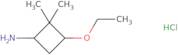 3-ethoxy-2,2-dimethylcyclobutan-1-amine hcl