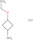 3-Ethoxycyclobutan-1-amine hydrochloride