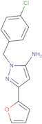 1-[(4-Chlorophenyl)methyl]-3-(furan-2-yl)-1H-pyrazol-5-amine