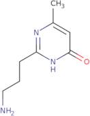 2-(3-Aminopropyl)-6-methyl-3,4-dihydropyrimidin-4-one