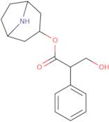 Hyoscyamine related compound A