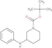 1-Boc-3-phenylamino-piperidine