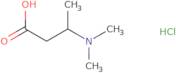 3-(Dimethylamino)butanoic acid hydrochloride