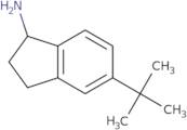 (1R)-5-tert-Butyl-2,3-dihydro-1H-inden-1-amine