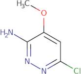 6-chloro-4-methoxypyridazin-3-amine