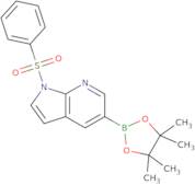 1-(Phenylsulfonyl)-5-(4,4,5,5-tetramethyl-1,3,2-dioxaborolan-2-yl)-1H-pyrrolo[2,3-b]pyridine