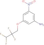 3-Nitro-5-(2,2,3,3-tetrafluoropropoxy)aniline