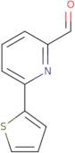 6-(2-Thienyl)-2-pyridinecarboxaldehyde