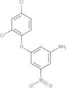 3-(2,4-Dichlorophenoxy)-5-nitroaniline