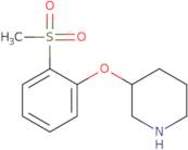 3-(2-Methanesulfonylphenoxy)piperidine