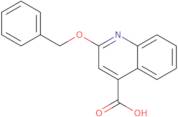 2-(Benzyloxy)quinoline-4-carboxylic acid