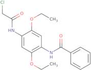 N-[4-(2-Chloroacetamido)-2,5-diethoxyphenyl]benzamide