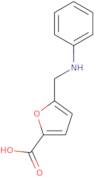 5-((Phenylamino)methyl)furan-2-carboxylic acid