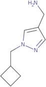 [1-(Cyclobutylmethyl)-1H-pyrazol-4-yl]methanamine