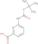 6-{[(tert-butoxy)carbonyl]amino}pyridine-2-carboxylic acid