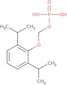 [2,6-Di(propan-2-yl)phenoxy]methyl dihydrogen phosphate