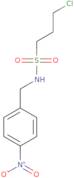 3-Chloro-N-[(4-nitrophenyl)methyl]propane-1-sulfonamide