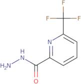 6-(Trifluoromethyl)picolinohydrazide