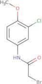 2-Bromo-N-(3-chloro-4-methoxyphenyl)acetamide