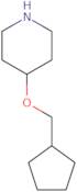 4-(Cyclopentylmethoxy)piperidine