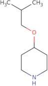 4-(2-Methylpropoxy)piperidine